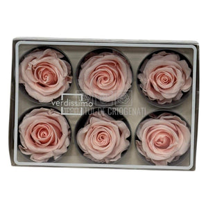 Trandafiri Criogenati STANDARD DUSTY PINK (dia. 5-5,5cm; set 6 buc /cutie)