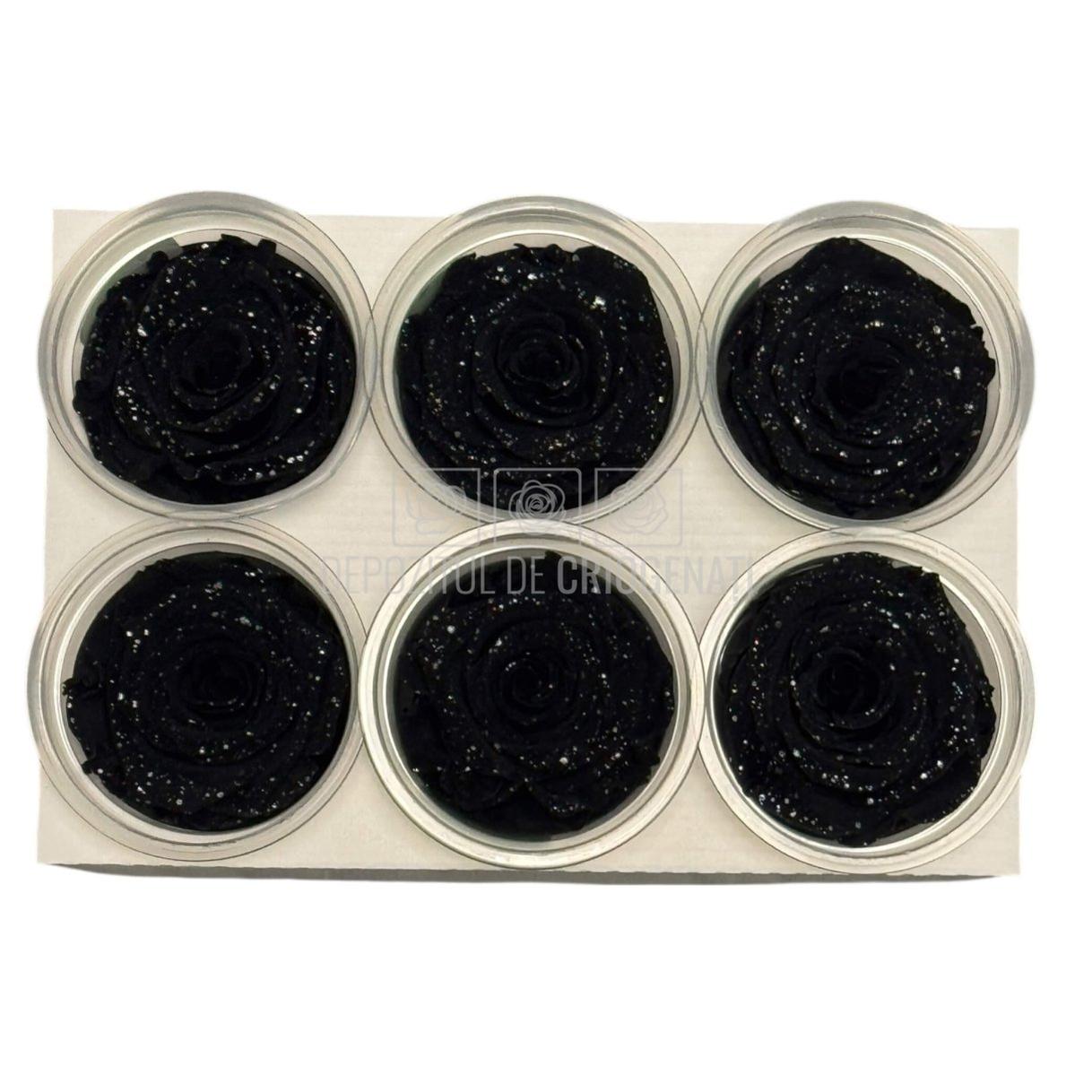 Trandafiri Criogenati XL BLA GALAXY - set 6 buc RoseAmor