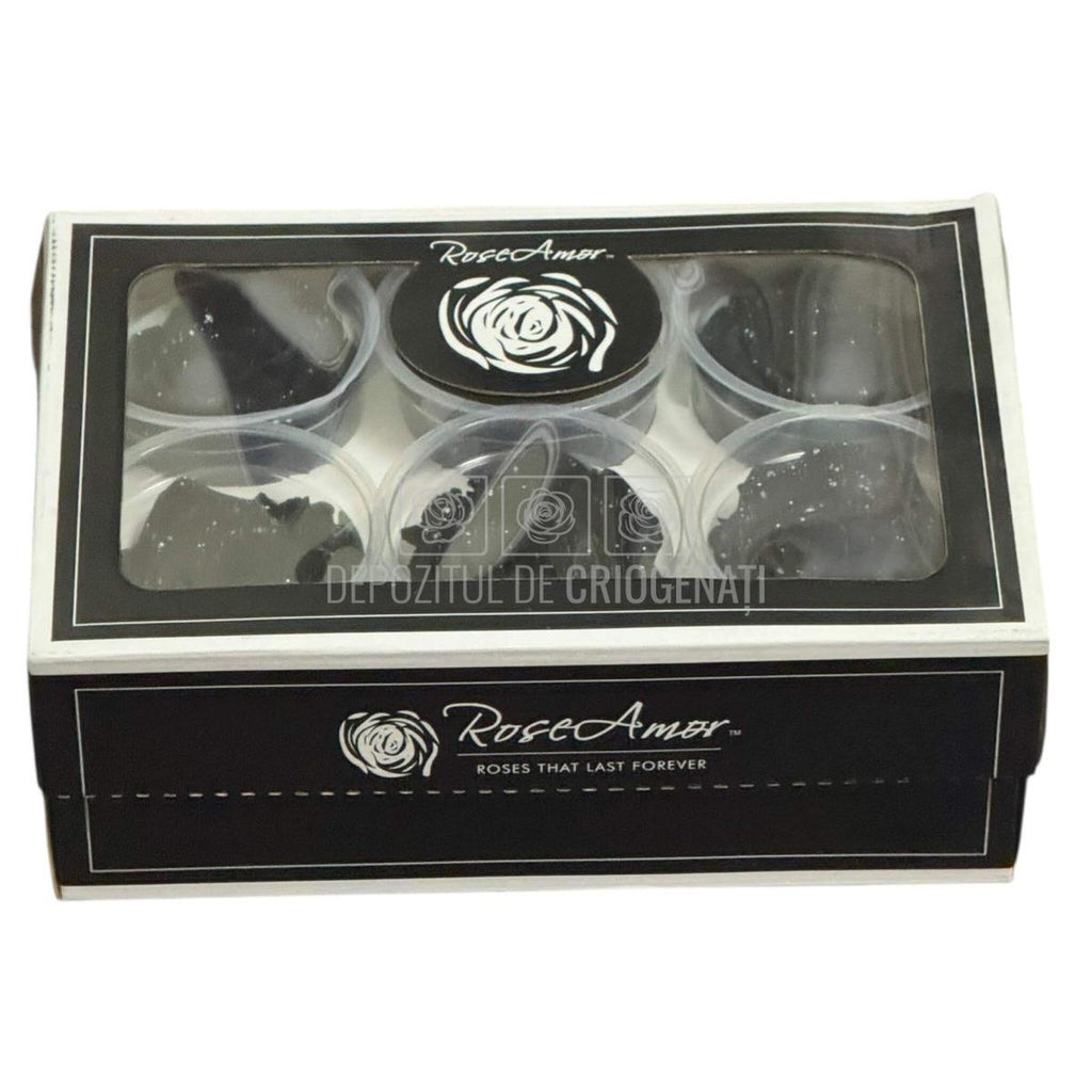 Trandafiri Criogenati XL BLA GALAXY - set 6 buc RoseAmor