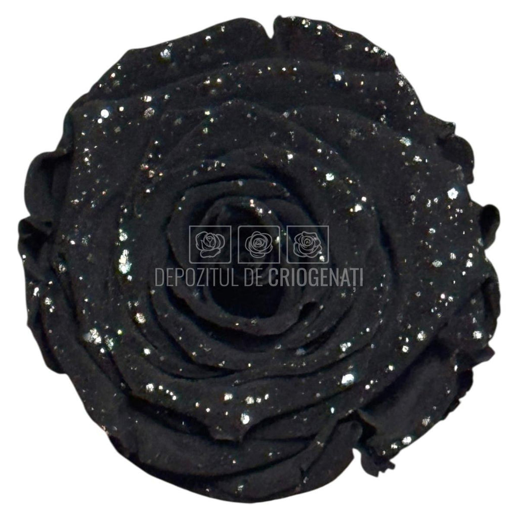 Trandafiri Criogenati XL BLA GALAXY - set 6 buc RoseAmor