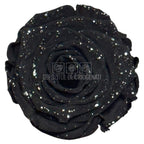 Trandafiri Criogenati XL BLA GALAXY - set 6 buc RoseAmor