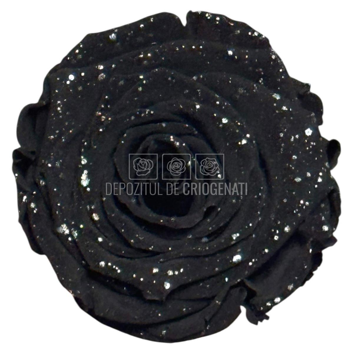 Trandafiri Criogenati XL BLA GALAXY - set 6 buc RoseAmor