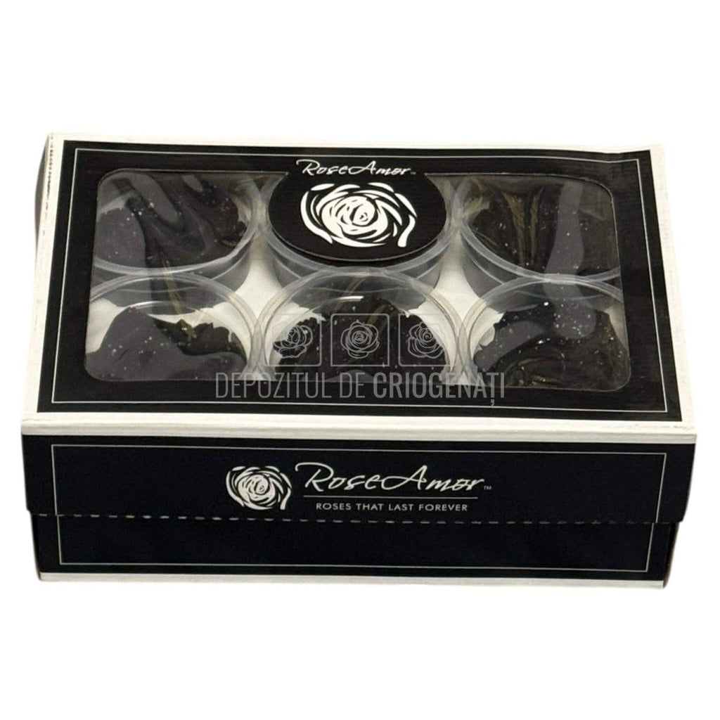 Trandafiri Criogenati XL BLA GALAXY - set 6 buc RoseAmor