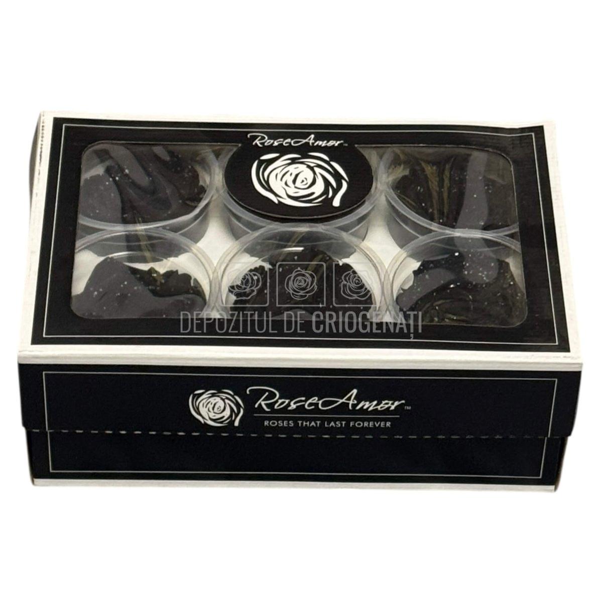 Trandafiri Criogenati XL BLA GALAXY - set 6 buc RoseAmor