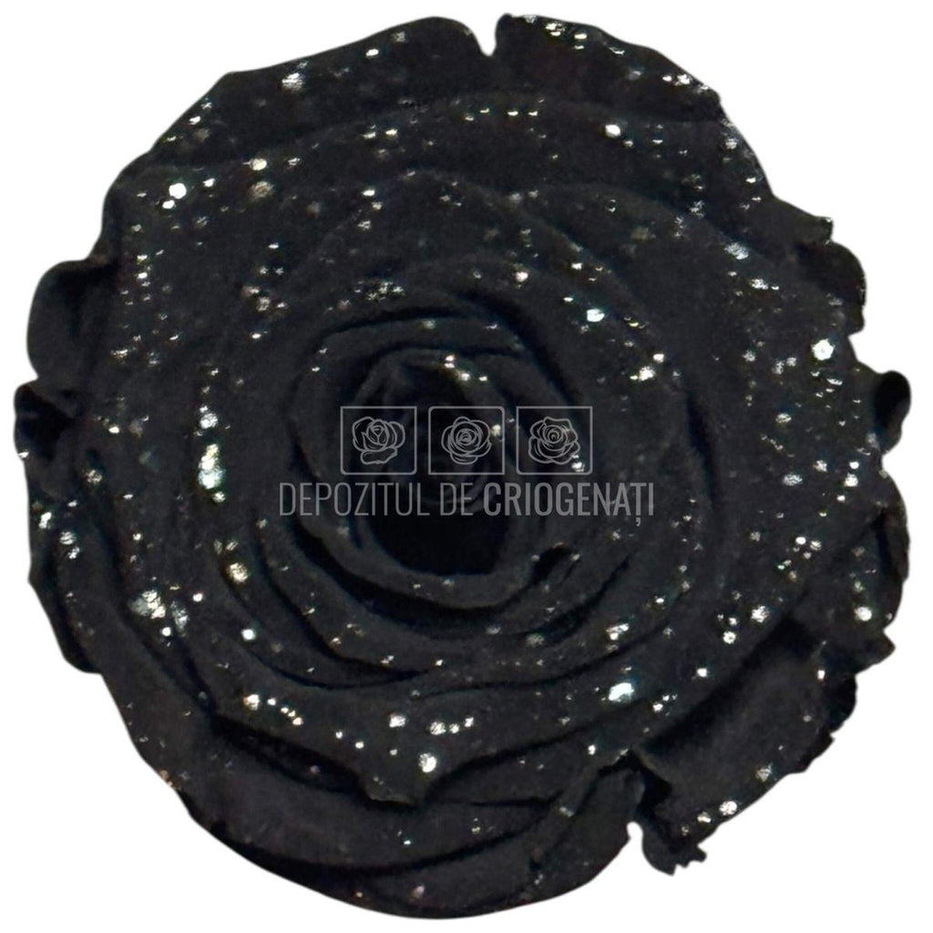 Trandafiri Criogenati XL BLA GALAXY - set 6 buc RoseAmor