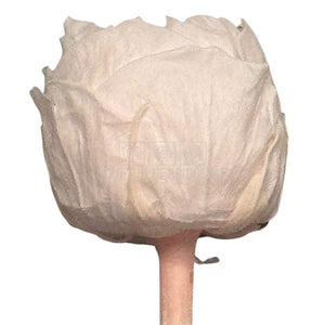 Trandafiri Criogenati set 6 buc - NIKI PIN-99