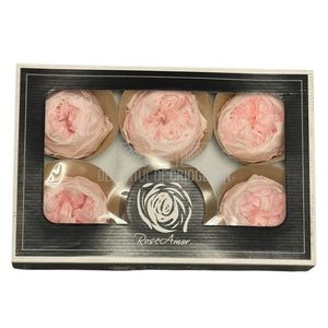 Trandafiri Criogenati set 6 buc - NIKI PIN-99