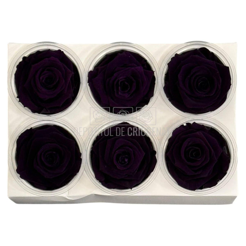 Trandafiri criogenati Lulu L CHARMING PURPLE (dia. 6-6,5cm, set 6 buc)