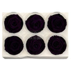 Trandafiri criogenati Lulu L CHARMING PURPLE (dia. 6-6,5cm, set 6 buc)