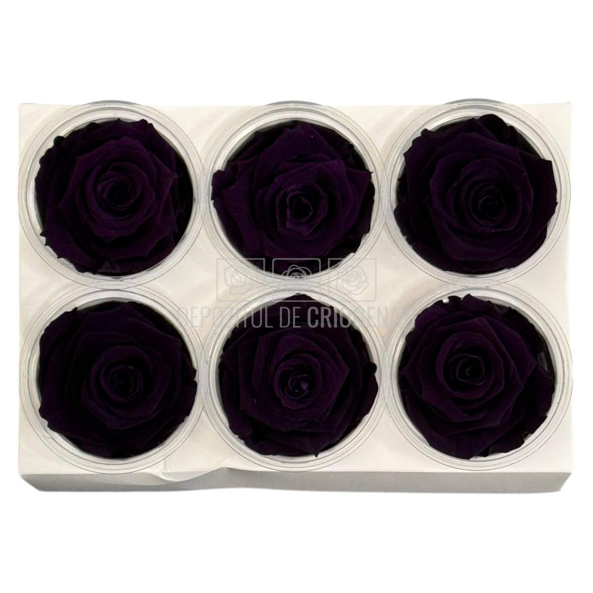 Trandafiri criogenati Lulu L CHARMING PURPLE (dia. 6-6,5cm, set 6 buc)