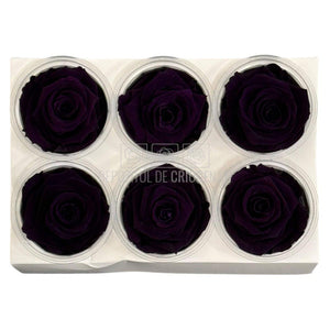 Trandafiri criogenati Lulu L CHARMING PURPLE (dia. 6-6,5cm, set 6 buc)