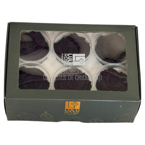Trandafiri criogenati Lulu L CHARMING PURPLE (dia. 6-6,5cm, set 6 buc)