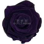 Trandafiri criogenati Lulu L CHARMING PURPLE (dia. 6-6,5cm, set 6 buc)