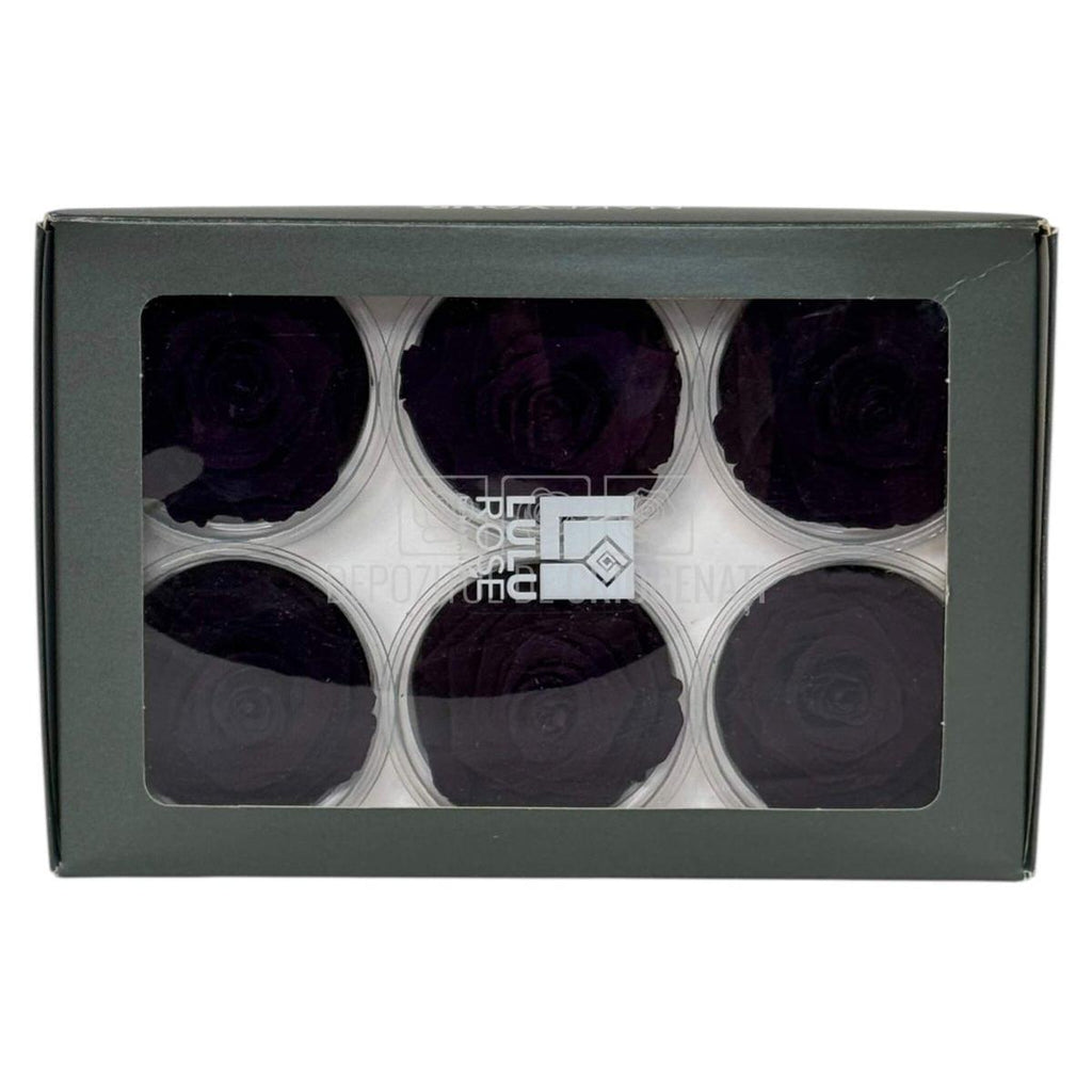 Trandafiri criogenati Lulu L CHARMING PURPLE (dia. 6-6,5cm, set 6 buc)