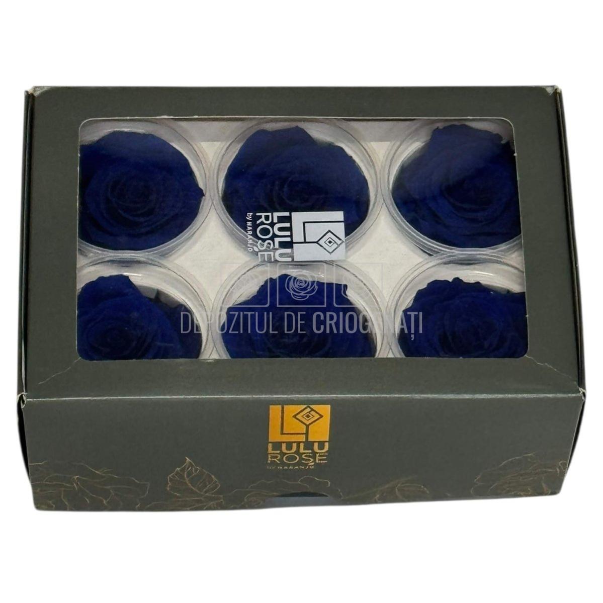 Trandafiri criogenati Lulu L CLASSY BLUE (dia. 6-6,5cm, set 6 buc)