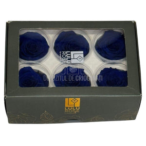 Trandafiri criogenati Lulu L CLASSY BLUE (dia. 6-6,5cm, set 6 buc)