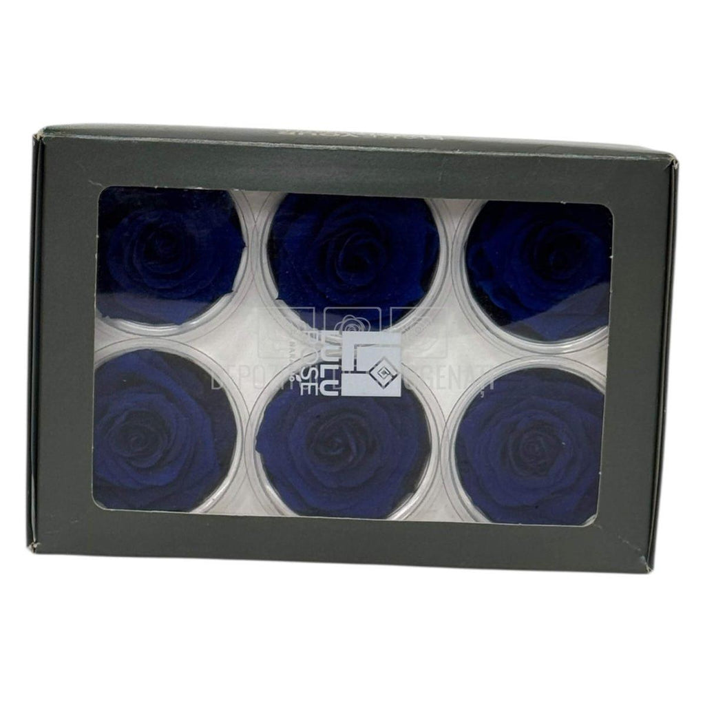 Trandafiri criogenati Lulu L CLASSY BLUE (dia. 6-6,5cm, set 6 buc)