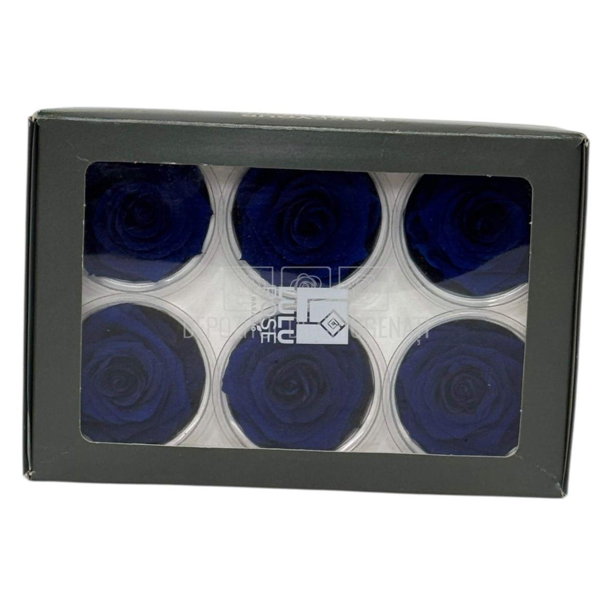 Trandafiri criogenati Lulu L CLASSY BLUE (dia. 6-6,5cm, set 6 buc)