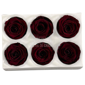 Trandafiri criogenati Lulu L ELEGANT RED WINE (dia. 6-6,5cm, set 6 buc)