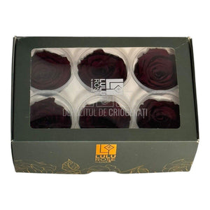 Trandafiri criogenati Lulu L ELEGANT RED WINE (dia. 6-6,5cm, set 6 buc)
