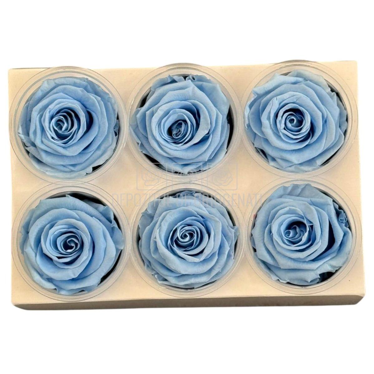 Trandafiri criogenati Lulu L GRACEFUL BABY BLUE (dia. 6-6,5cm, set 6 buc)