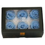 Trandafiri criogenati Lulu L GRACEFUL BABY BLUE (dia. 6-6,5cm, set 6 buc)