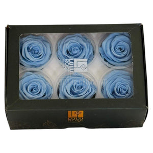 Trandafiri criogenati Lulu L GRACEFUL BABY BLUE (dia. 6-6,5cm, set 6 buc)