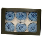 Trandafiri criogenati Lulu L GRACEFUL BABY BLUE (dia. 6-6,5cm, set 6 buc)