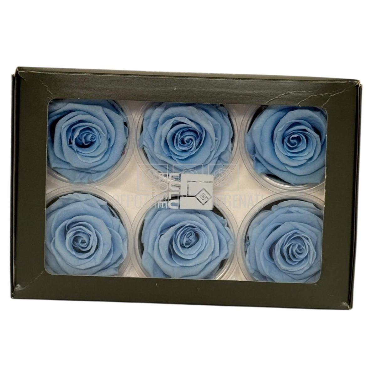 Trandafiri criogenati Lulu L GRACEFUL BABY BLUE (dia. 6-6,5cm, set 6 buc)