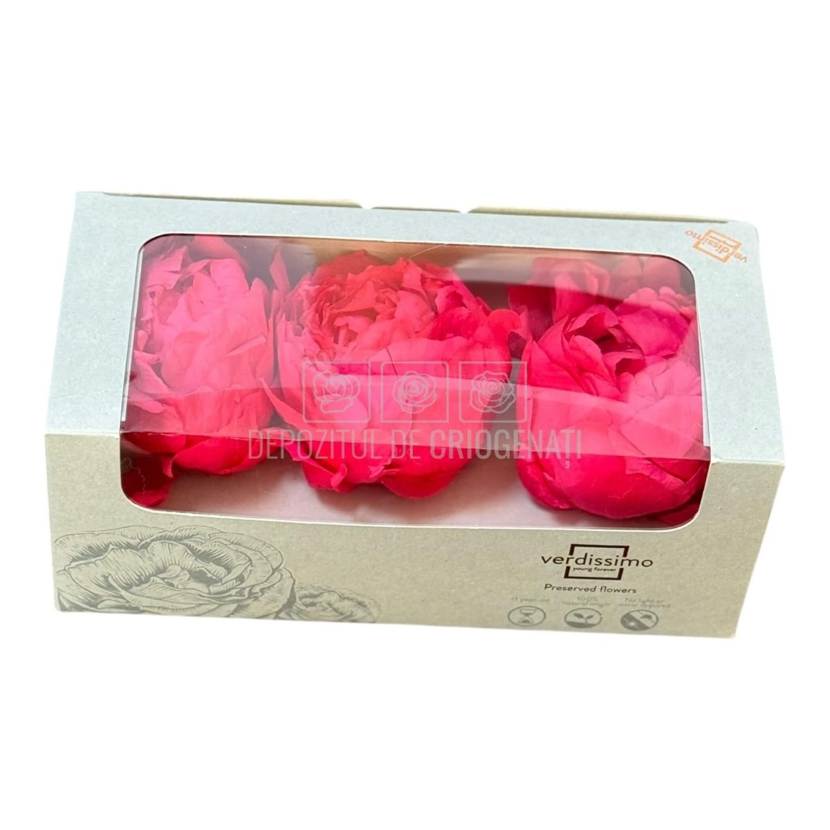 Bujor Criogenat PEONIA DARK PINK (dia. 6 - 6,5cm; set 3 buc /cutie) - DepozituldeCriogenati.ro