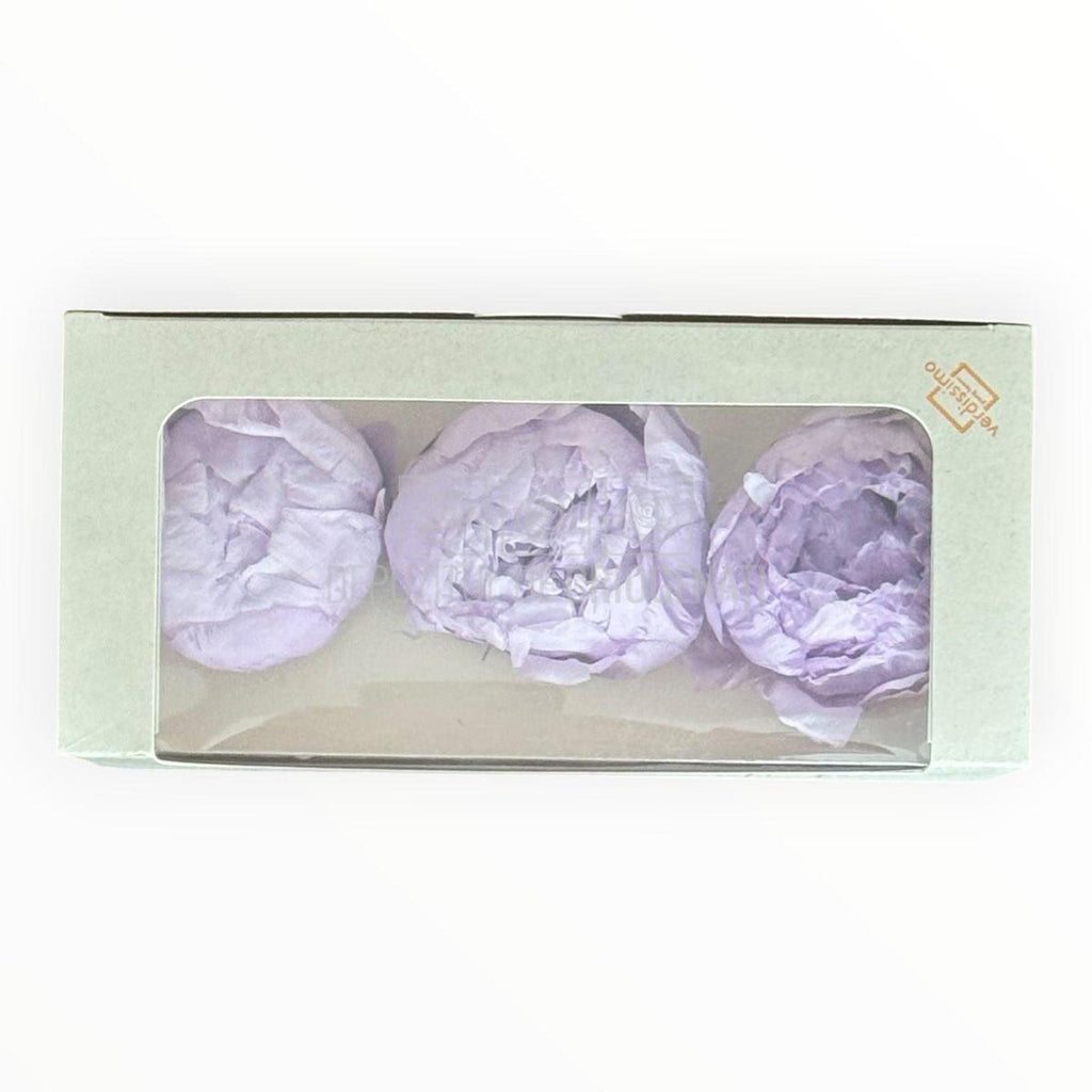 Bujor Criogenat PEONIA LILAC (dia. 6 - 6,5cm) - Depozitul de Criogenati