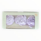 Bujor Criogenat PEONIA LILAC (dia. 6 - 6,5cm) - Depozitul de Criogenati