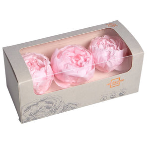 Bujor Criogenat PEONIA PASTEL PINK (dia. 6-6,5cm; set 3 buc /cutie) - DepozituldeCriogenati.ro