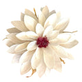 Dalia Criogenata DALIA WHI-04 (Ø8cm x H1-3cm) - Depozitul de Criogenati