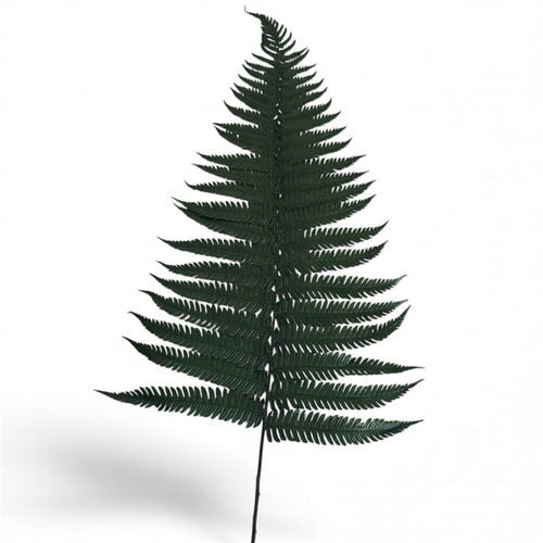 Feriga Verde Parchment (Buchet Criogenat, 10 buc) - Depozitul de Criogenati