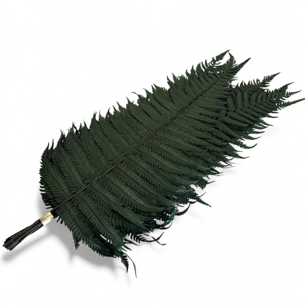 Feriga Verde Parchment (Buchet Criogenat, 10 buc) - Depozitul de Criogenati