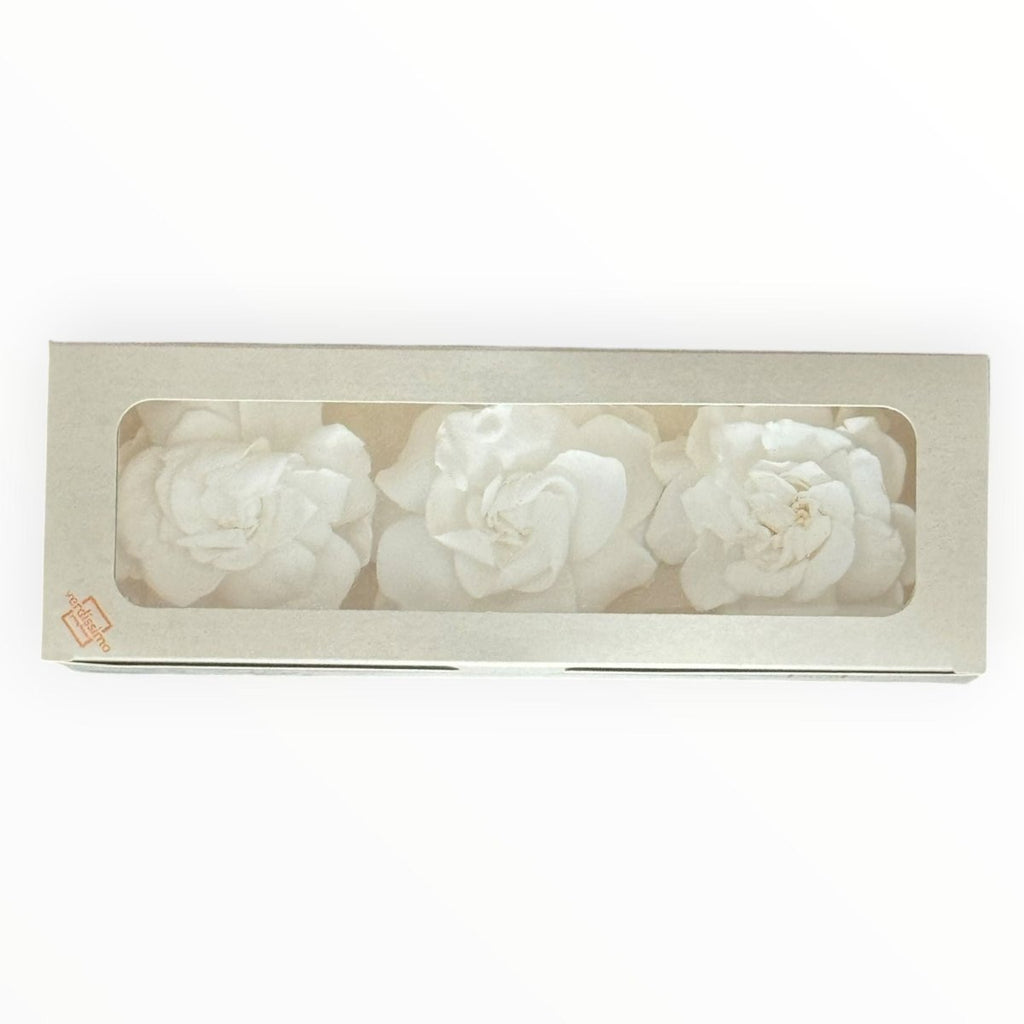 Floare Criogenata Alba GARDENIA WHITE (dia. 7 - 8cm) - Depozitul de Criogenati