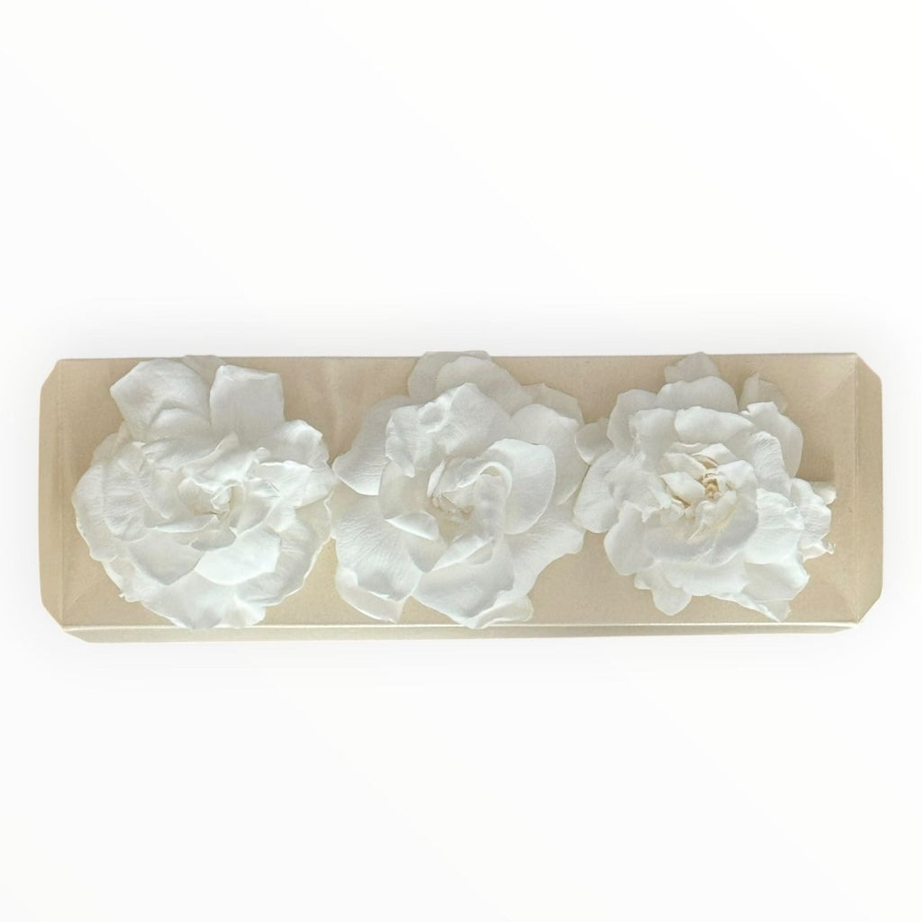 Floare Criogenata Alba GARDENIA WHITE (dia. 7 - 8cm) - Depozitul de Criogenati