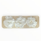 Floare Criogenata Alba GARDENIA WHITE (dia. 7 - 8cm) - Depozitul de Criogenati
