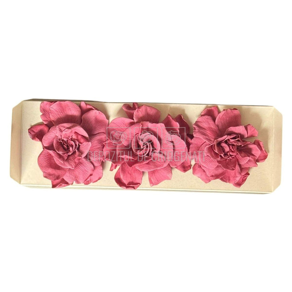Floare criogenata roz pudrat GARDENIA CRANBERRY (dia. 7-8cm) - Depozitul de Criogenati