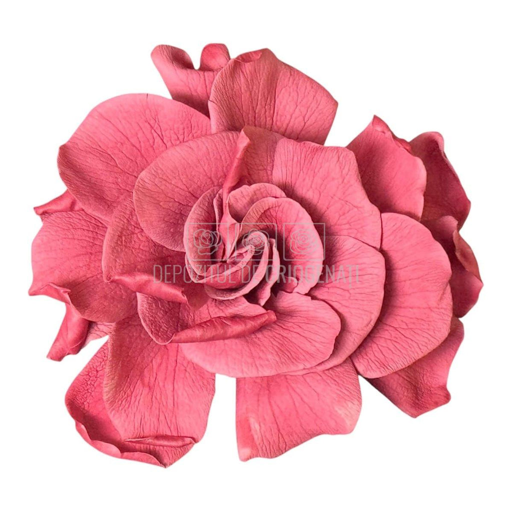 Floare criogenata roz pudrat GARDENIA CRANBERRY (dia. 7-8cm) - Depozitul de Criogenati
