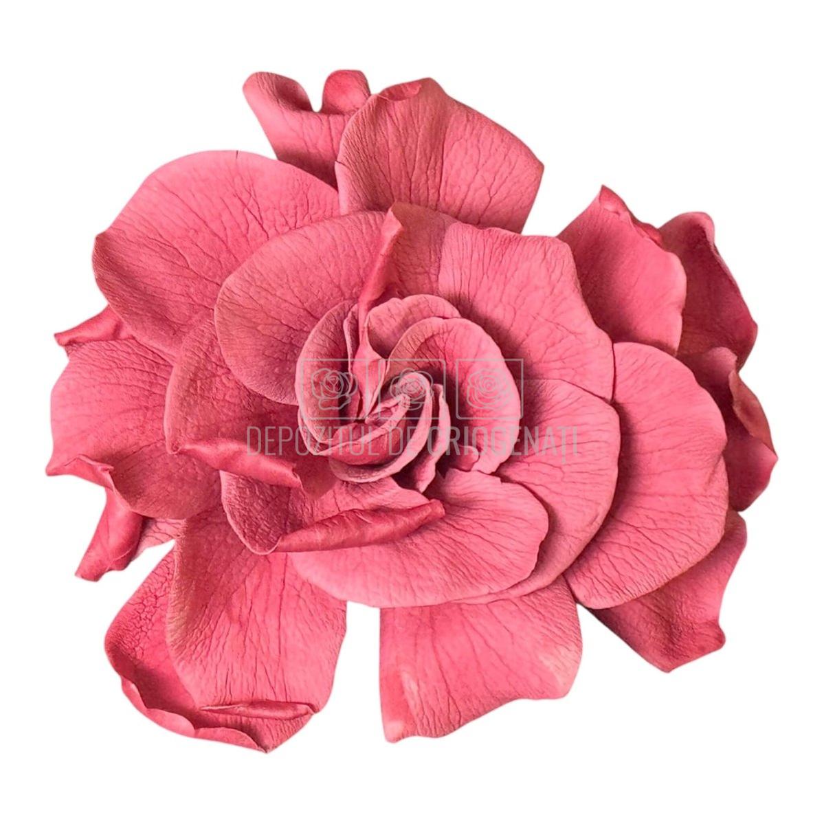 Floare criogenata roz pudrat GARDENIA CRANBERRY (dia. 7-8cm) - Depozitul de Criogenati