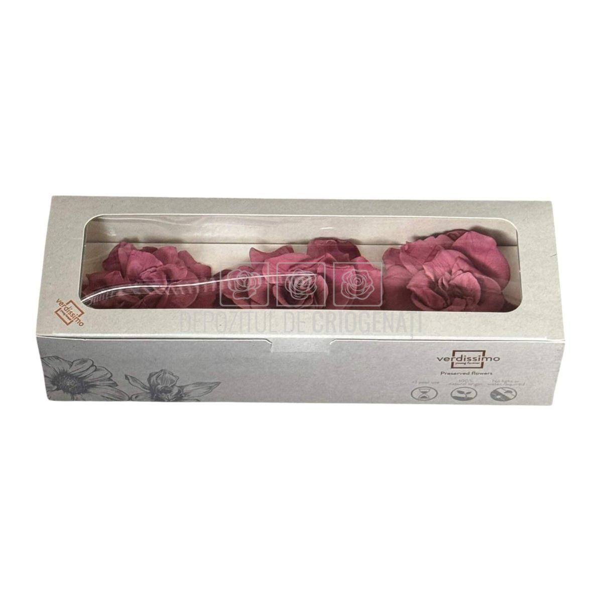 Floare criogenata roz pudrat GARDENIA CRANBERRY (dia. 7-8cm) - Depozitul de Criogenati