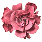 Floare criogenata roz pudrat GARDENIA CRANBERRY (dia. 7-8cm) - Depozitul de Criogenati