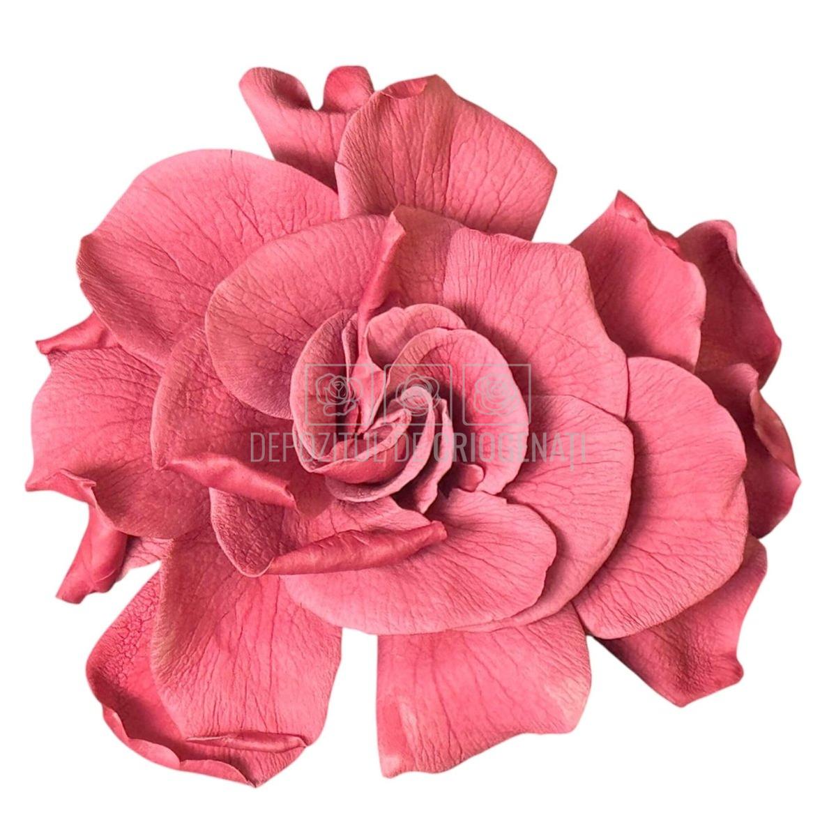 Floare criogenata roz pudrat GARDENIA CRANBERRY (dia. 7-8cm) - Depozitul de Criogenati