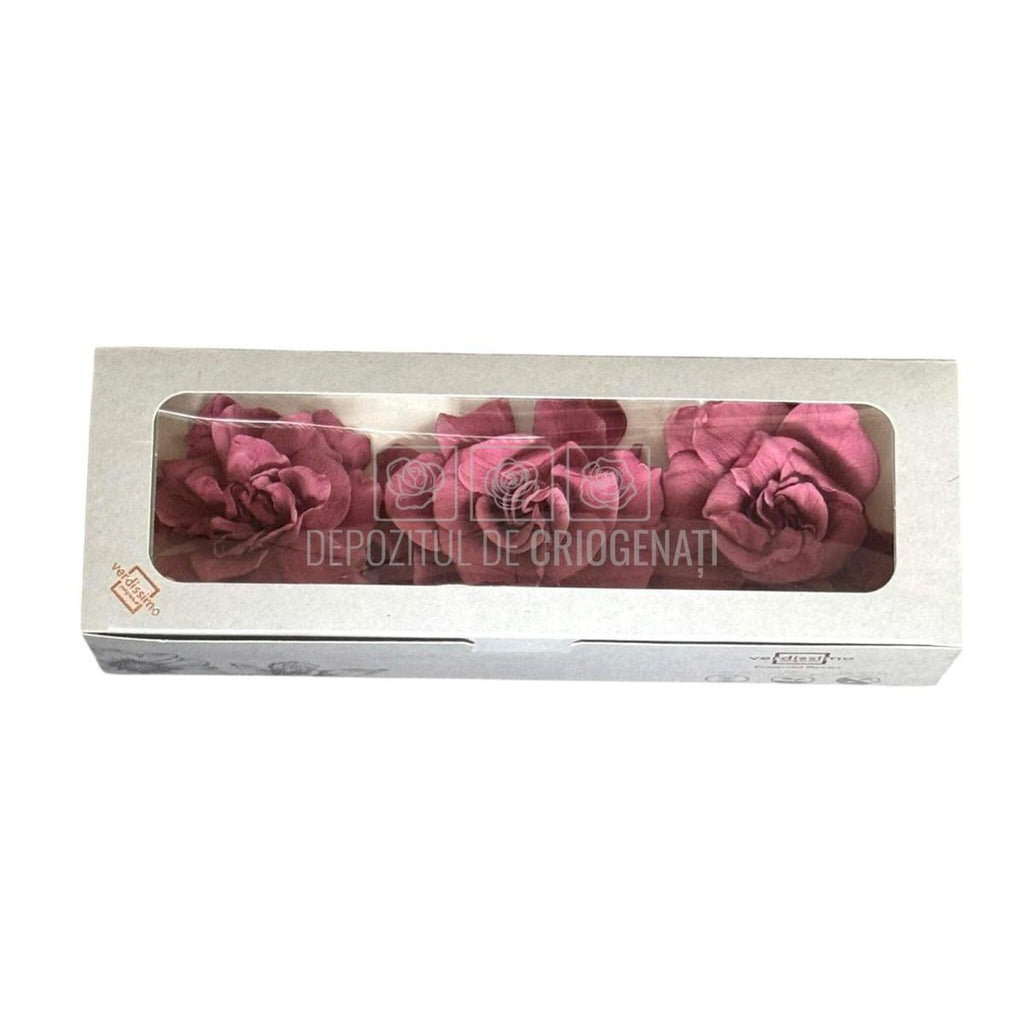 Floare criogenata roz pudrat GARDENIA CRANBERRY (dia. 7-8cm) - Depozitul de Criogenati