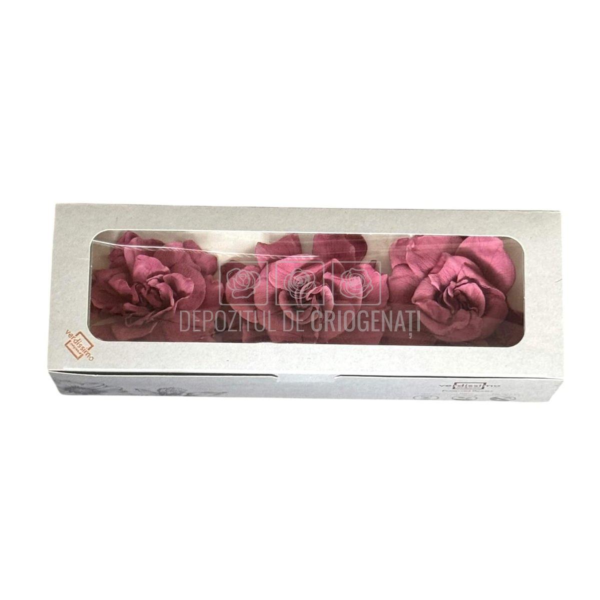 Floare criogenata roz pudrat GARDENIA CRANBERRY (dia. 7-8cm) - Depozitul de Criogenati