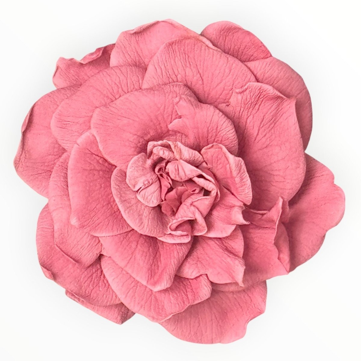Floare Criogenata Roz pudrat Gardenia pentru decor - Depozitul de Criogenati