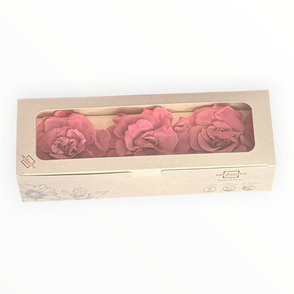 Floare Criogenata Roz pudrat Gardenia pentru decor - Depozitul de Criogenati