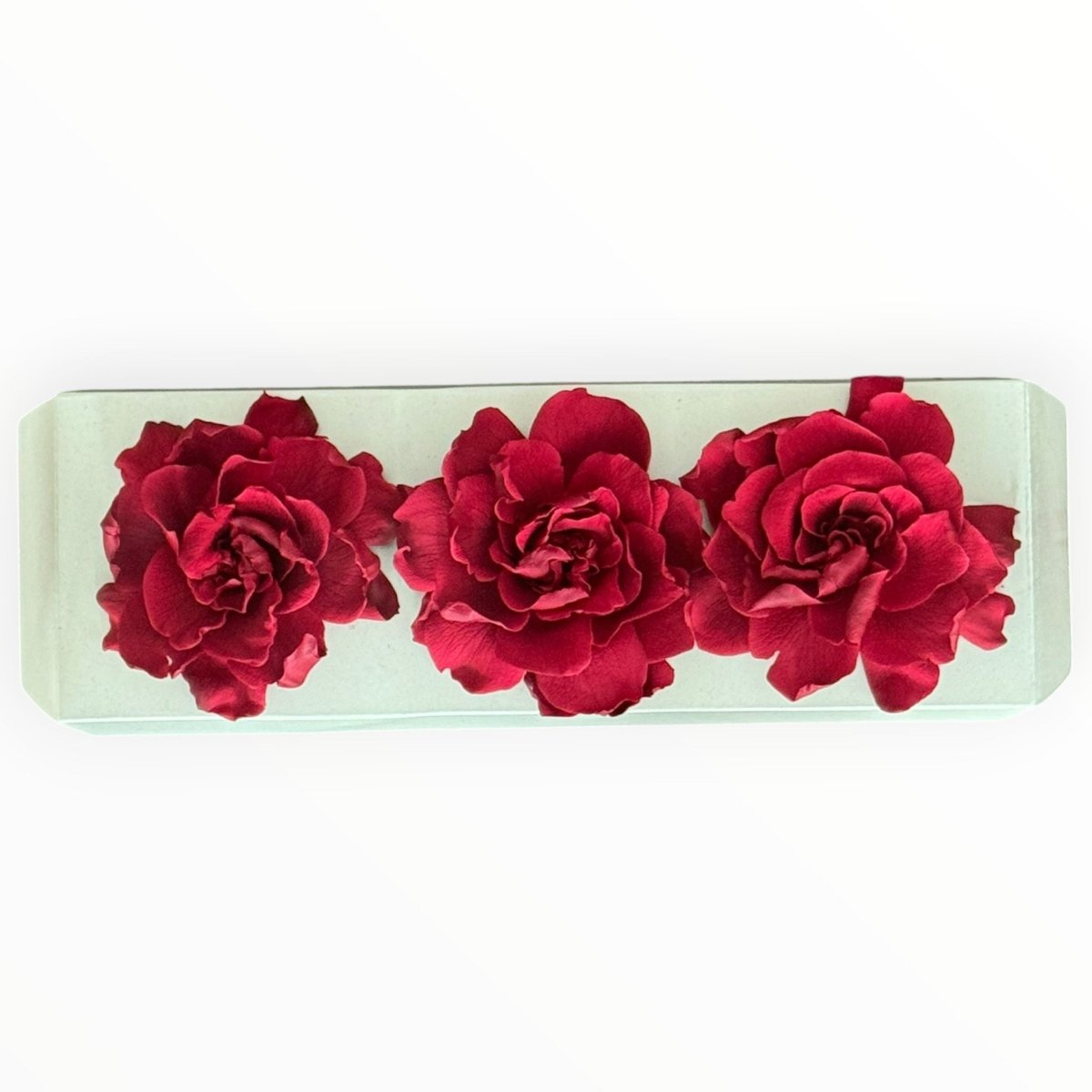 Floare criogenata visinie GARDENIA BURGUNDY (dia. 7 - 8cm) - Depozitul de Criogenati